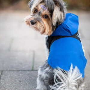 Vsepropejska Sindra zimní bunda pro psa Barva: Modrá, Délka zad (cm): 30, Obvod hrudníku: 42 – 48 cm