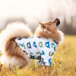 Vsepropejska Trux mikina pro psa Barva: Modrá, Délka zad (cm): 42, Obvod hrudníku: 56 – 62 cm