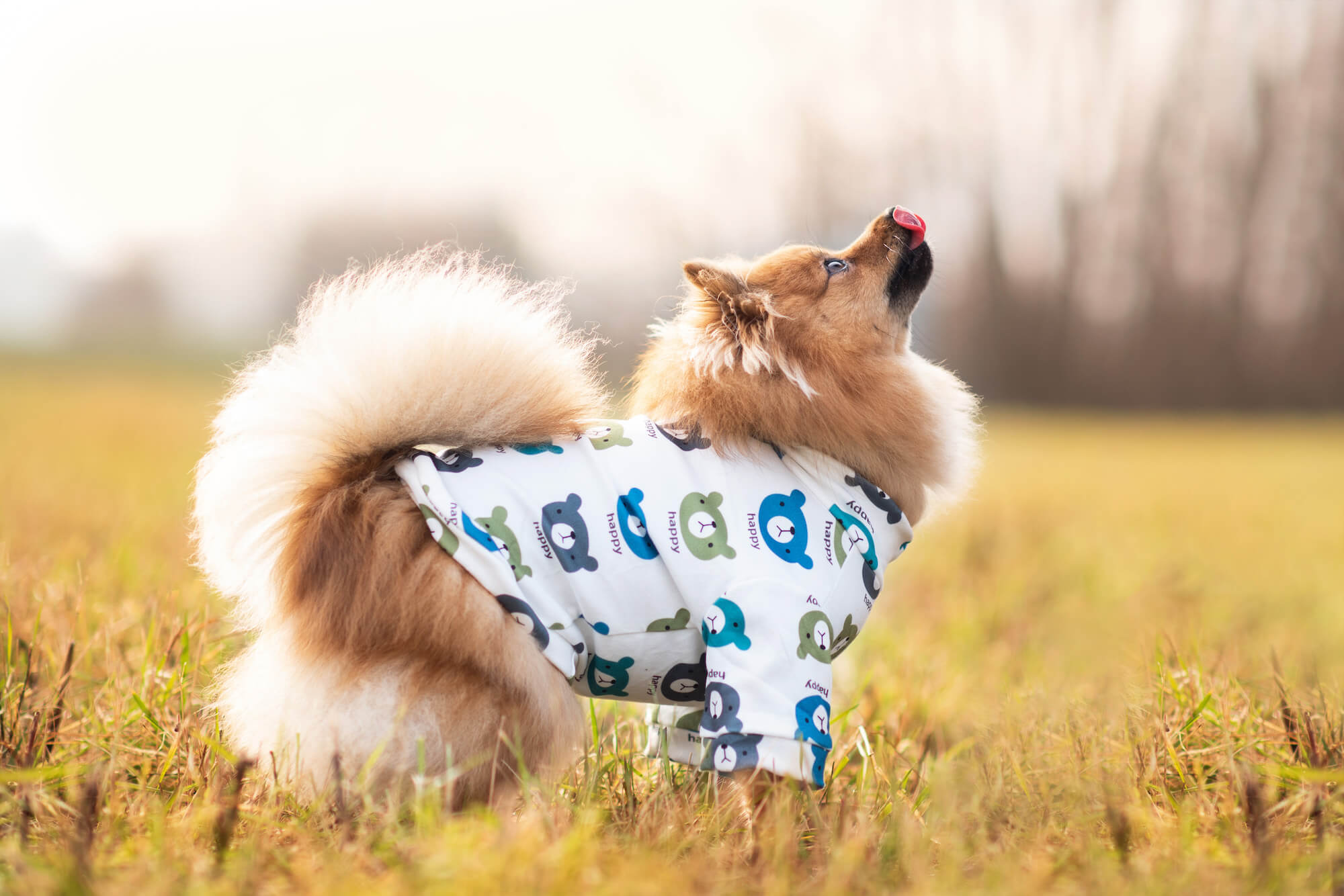 Vsepropejska Trux mikina pro psa Barva: Modrá, Délka zad (cm): 42, Obvod hrudníku: 56 - 62 cm Vsepropejska Trux mikina pro psa Barva: Modrá, Délka zad (cm): 42, Obvod hrudníku: 56 - 62 cm