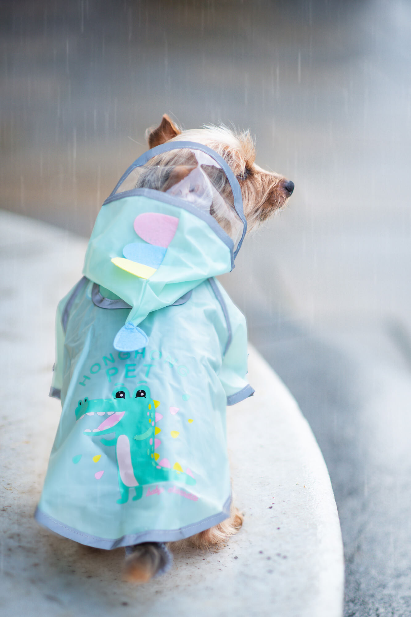 Vsepropejska Silva pláštěnka pro psa Barva: Zelená, Délka zad (cm): 26, Obvod hrudníku: 30 - 34 cm Vsepropejska Silva pláštěnka pro psa Barva: Zelená, Délka zad (cm): 26, Obvod hrudníku: 30 - 34 cm