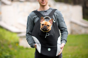 Vsepropejska Trend batoh pro psa | do 10 Kg Barva: Černá, Dle váhy psa: do 3 kg