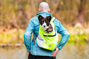 Vsepropejska Trend batoh pro psa | do 10 Kg Barva: Zelená, Dle váhy psa: 6 - 10 kg