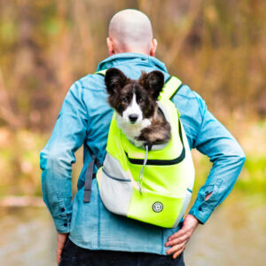 Vsepropejska Trend batoh pro psa | do 10 Kg Barva: Zelená, Dle váhy psa: 6 – 10 kg