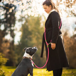 Vsepropejska Lasky přepínací vodítko pro psa | 270 cm Barva: Růžová, Délka vodítka: 230 cm