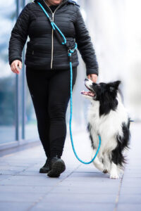 Vsepropejska Moris přepínací vodítko pro psa | 240 cm Barva: Modrá, Šířka vodítka: 0,8 cm