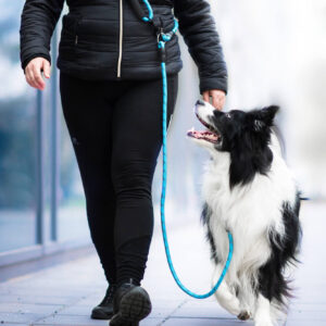 Vsepropejska Moris přepínací vodítko pro psa | 240 cm Barva: Modrá, Šířka vodítka: 0,8 cm