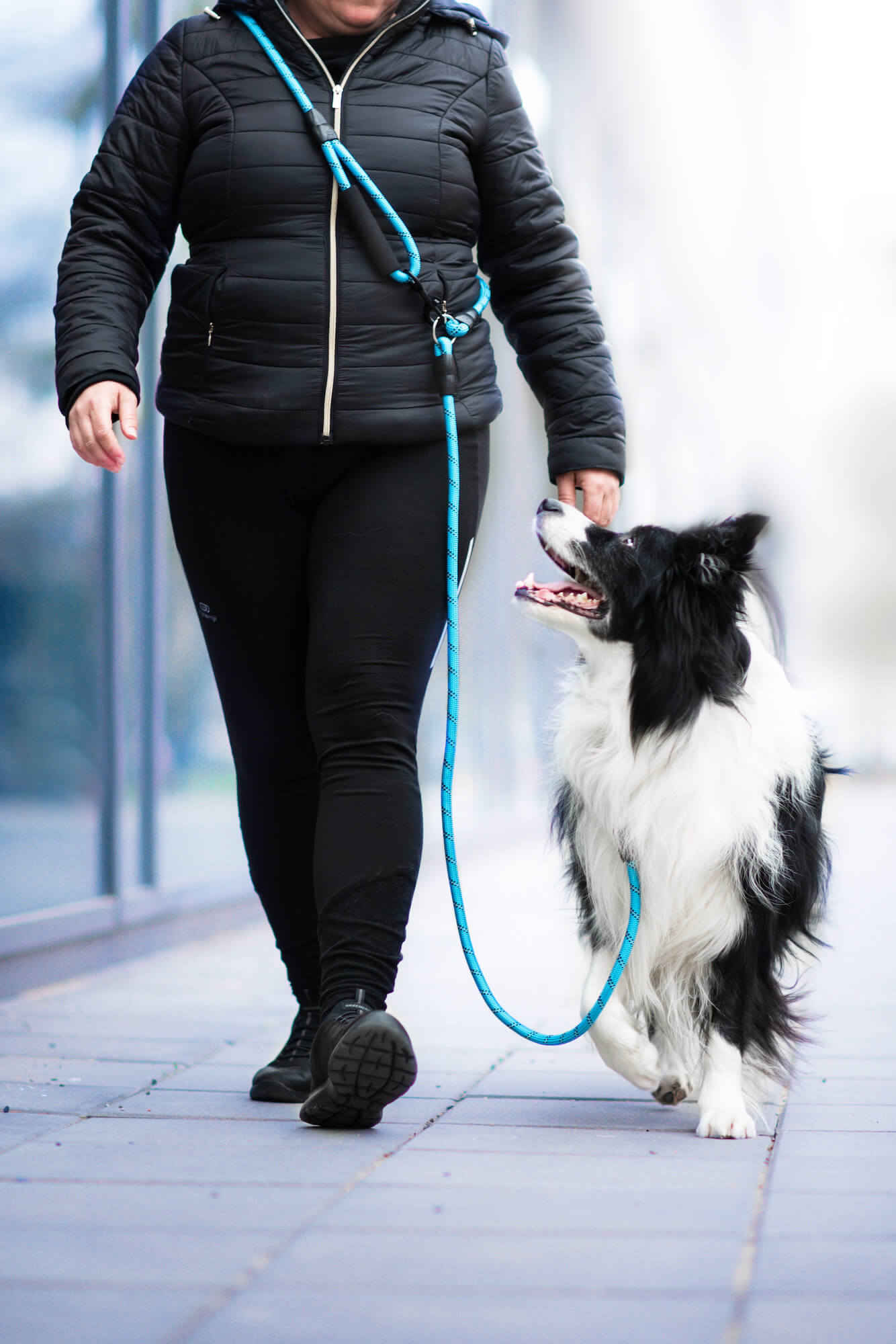 Vsepropejska Moris přepínací vodítko pro psa | 240 cm Barva: Modrá, Šířka vodítka: 0,8 cm Vsepropejska Moris přepínací vodítko pro psa | 240 cm Barva: Modrá, Šířka vodítka: 0,8 cm