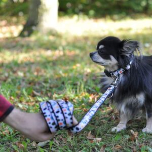 Vsepropejska Lucky přepínací vodítko pro psa | 220 cm