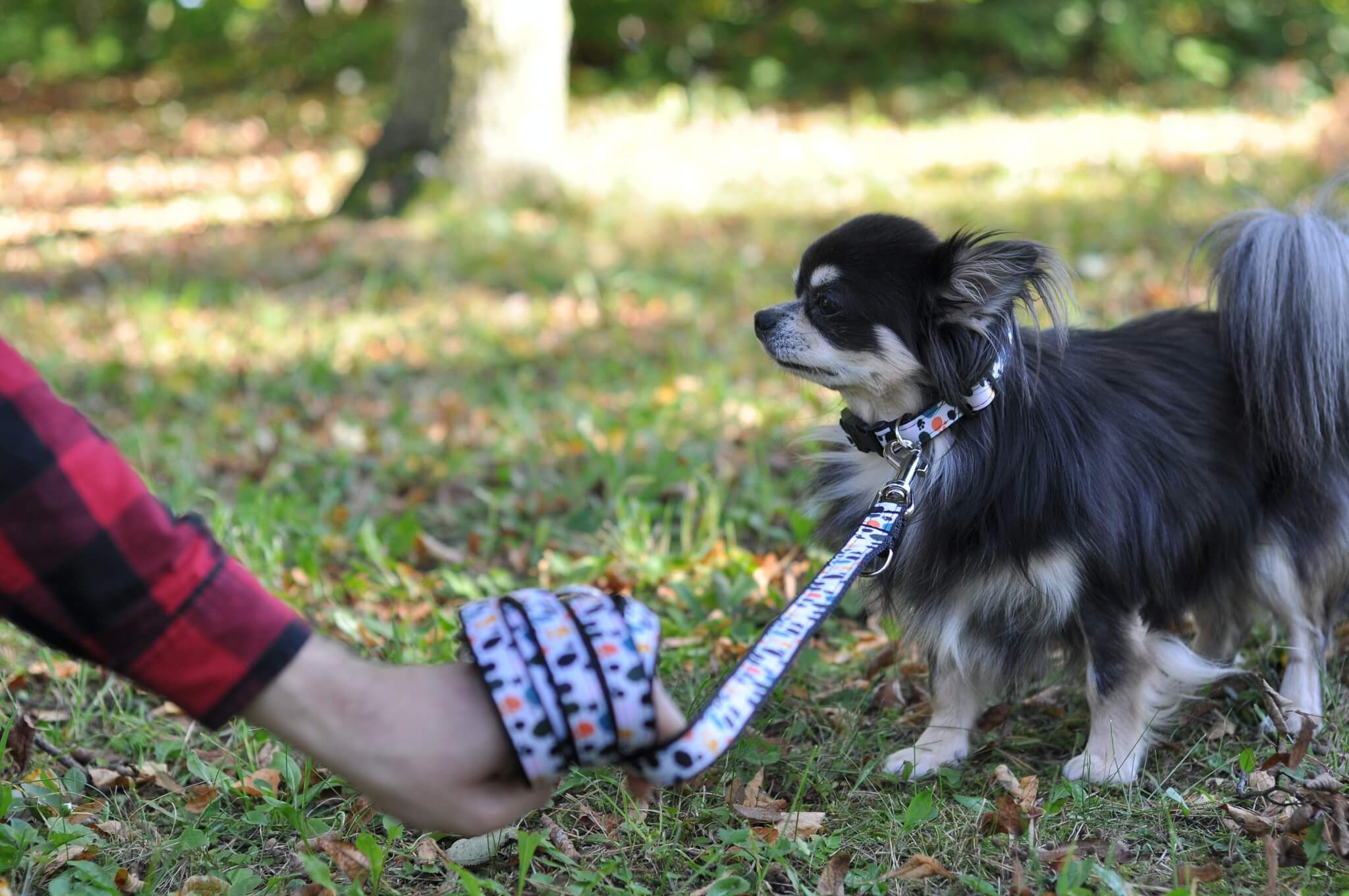 Vsepropejska Lucky přepínací vodítko pro psa | 220 cm Vsepropejska Lucky přepínací vodítko pro psa | 220 cm