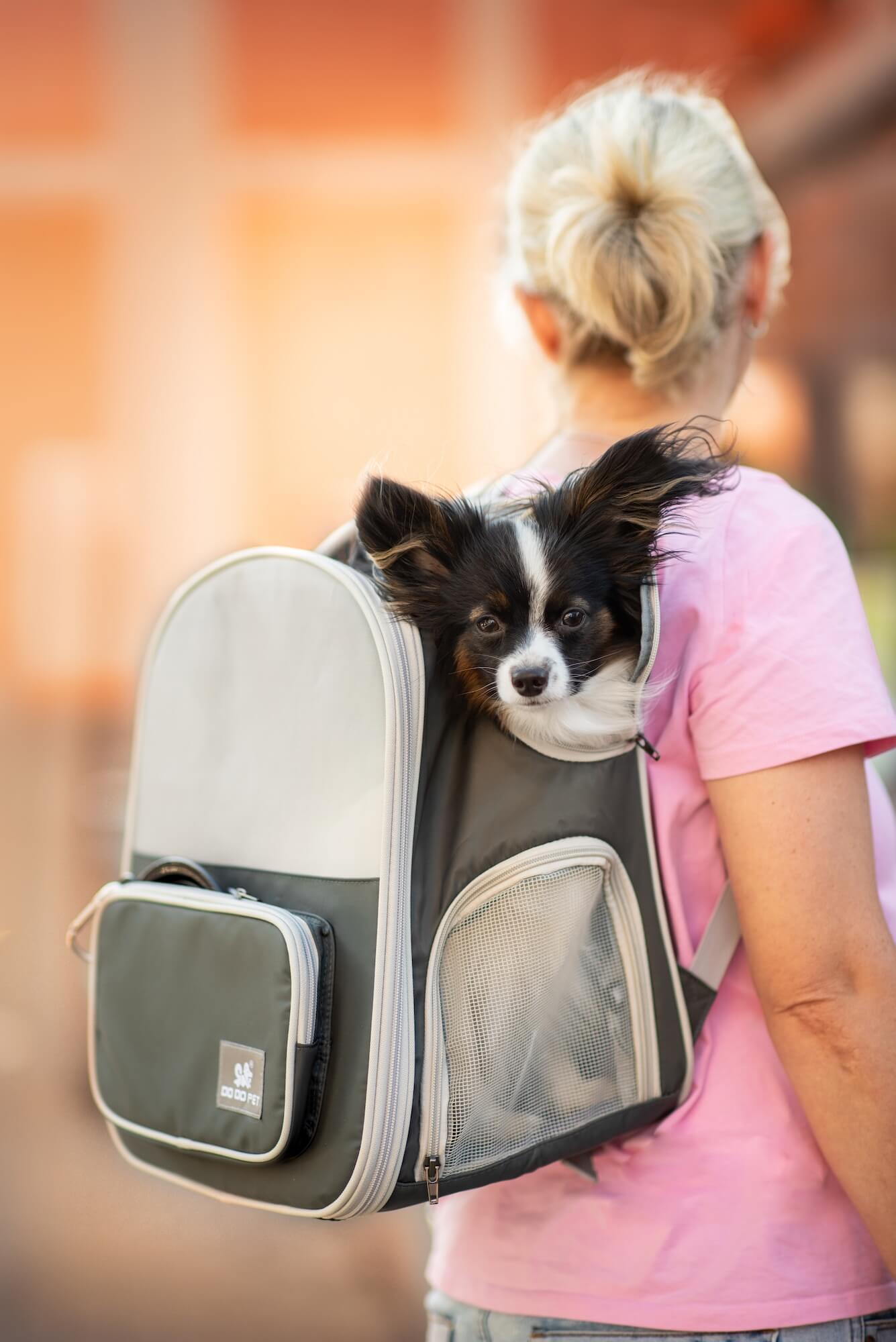 Vsepropejska Silvan batoh pro psa | do 4 Kg Barva: Šedá Vsepropejska Silvan batoh pro psa | do 4 Kg Barva: Šedá