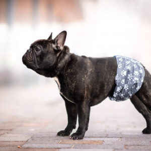 Vsepropejska Tuma protiznačkovací pás pro psa Barva: Šedá, Obvod slabin (cm): 48 – 52