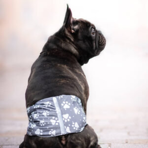 Vsepropejska Tuma protiznačkovací pás pro psa Barva: Šedá, Obvod slabin (cm): 40 – 45