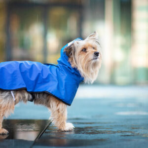 Vsepropejska Zika pláštěnka pro psa Barva: Modrá, Délka zad (cm): 26, Obvod hrudníku: 32 – 36 cm