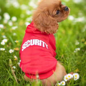 Vsepropejska Zagi sportovní mikina pro psa Barva: Červená, Délka zad (cm): 47, Obvod hrudníku: 58 – 64 cm