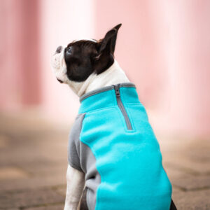 Vsepropejska Zany elastická mikina pro psa Barva: Tyrkysová, Délka zad (cm): 34, Obvod hrudníku: 42 – 50 cm