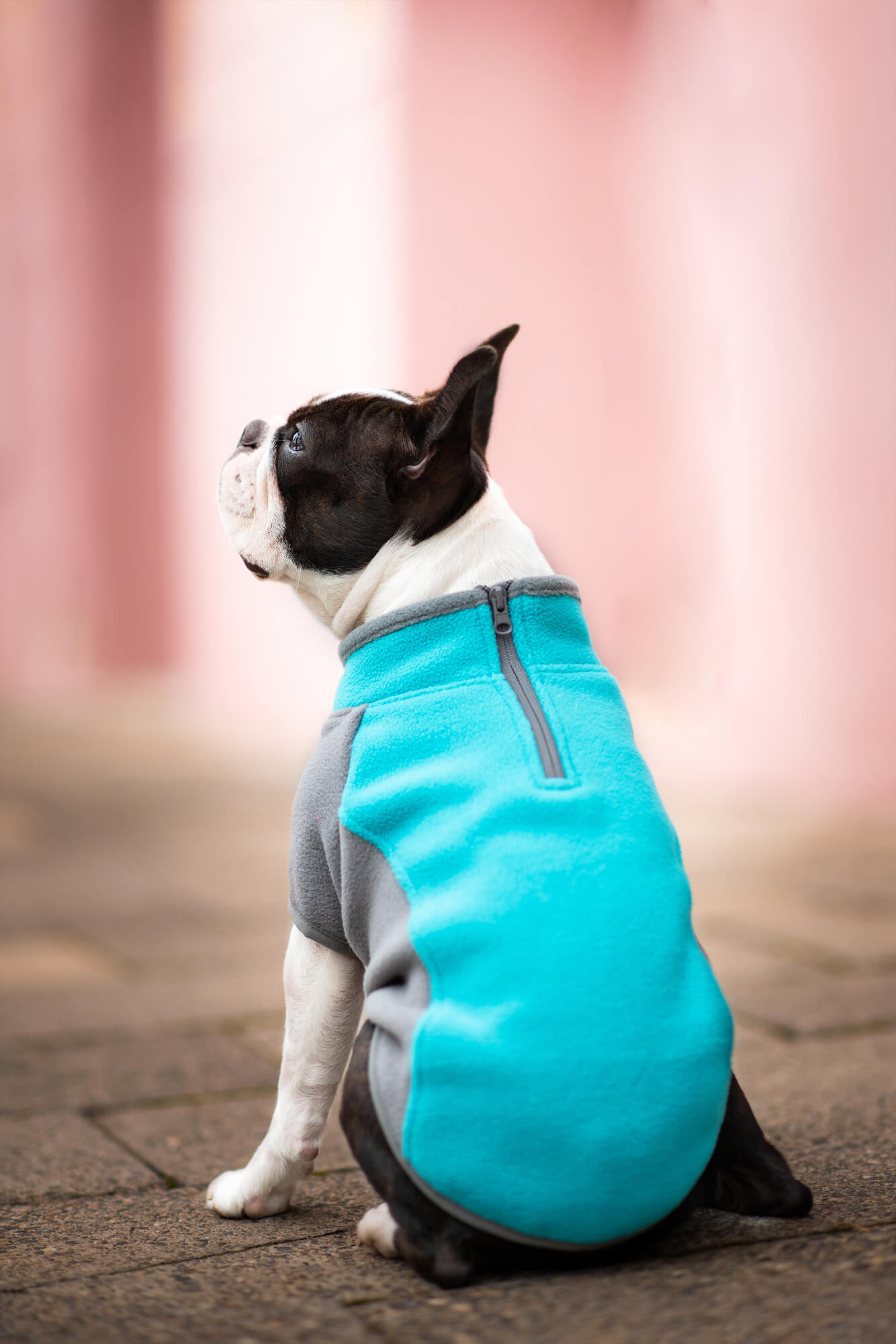 Vsepropejska Zany elastická mikina pro psa Barva: Tyrkysová, Délka zad (cm): 27, Obvod hrudníku: 34 - 40 cm Vsepropejska Zany elastická mikina pro psa Barva: Tyrkysová, Délka zad (cm): 27, Obvod hrudníku: 34 - 40 cm