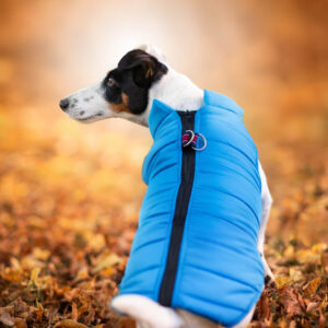 Vsepropejska Color-rainy obleček pro psa na zip Barva: Modrá, Délka zad (cm): 29, Obvod hrudníku: 37 – 41 cm