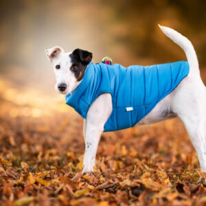 Vsepropejska Color-rainy obleček pro psa na zip Barva: Modrá, Délka zad (cm): 25, Obvod hrudníku: 31 – 34 cm