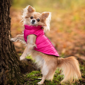 Vsepropejska Color-rainy obleček pro psa na zip Barva: Růžová, Délka zad (cm): 25, Obvod hrudníku: 31 – 34 cm