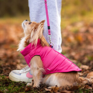 Vsepropejska Color-rainy obleček pro psa na zip Barva: Růžová, Délka zad (cm): 34, Obvod hrudníku: 41 – 45 cm
