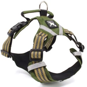 Vsepropejska Zodo sportovní postroj pro psa | 39 – 92 cm Barva: Zelená, Obvod hrudníku: 58 – 79 cm, Obvod krku: 44 – 62 cm