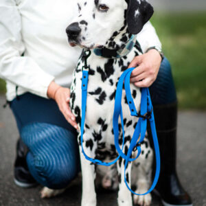 Vsepropejska Flip silikonové přepínací vodítko pro psa | 260 cm Barva: Modrá, Šířka vodítka: 2 cm