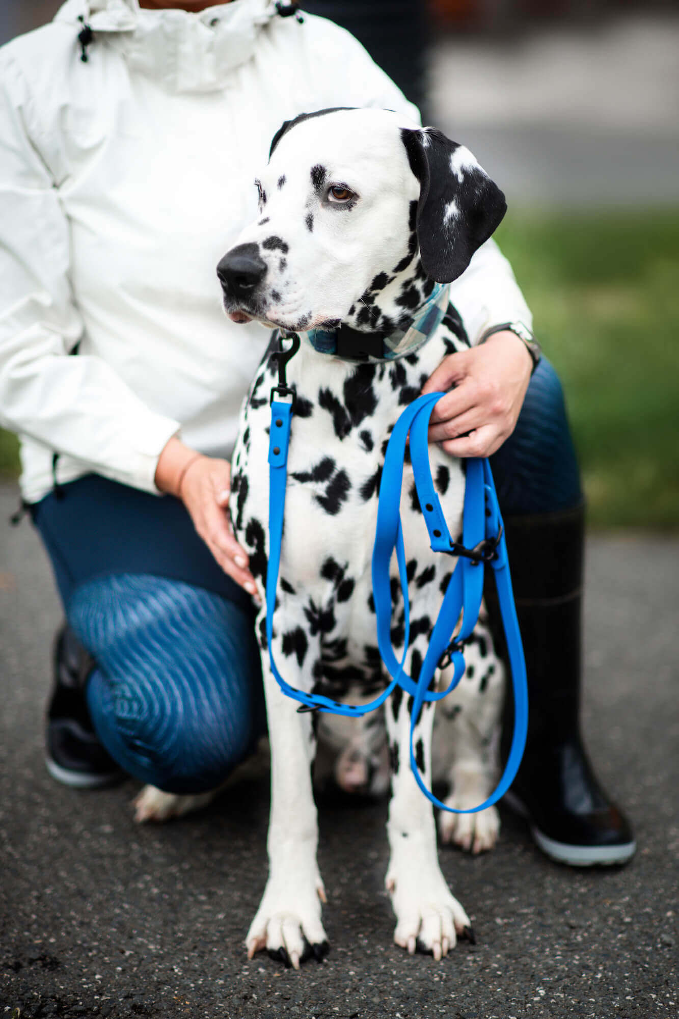 Vsepropejska Flip silikonové přepínací vodítko pro psa | 260 cm Barva: Modrá, Šířka vodítka: 1,5 cm Vsepropejska Flip silikonové přepínací vodítko pro psa | 260 cm Barva: Modrá, Šířka vodítka: 1,5 cm