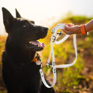Vsepropejska Flip silikonové přepínací vodítko pro psa | 260 cm Barva: Bílá, Šířka vodítka: 2 cm