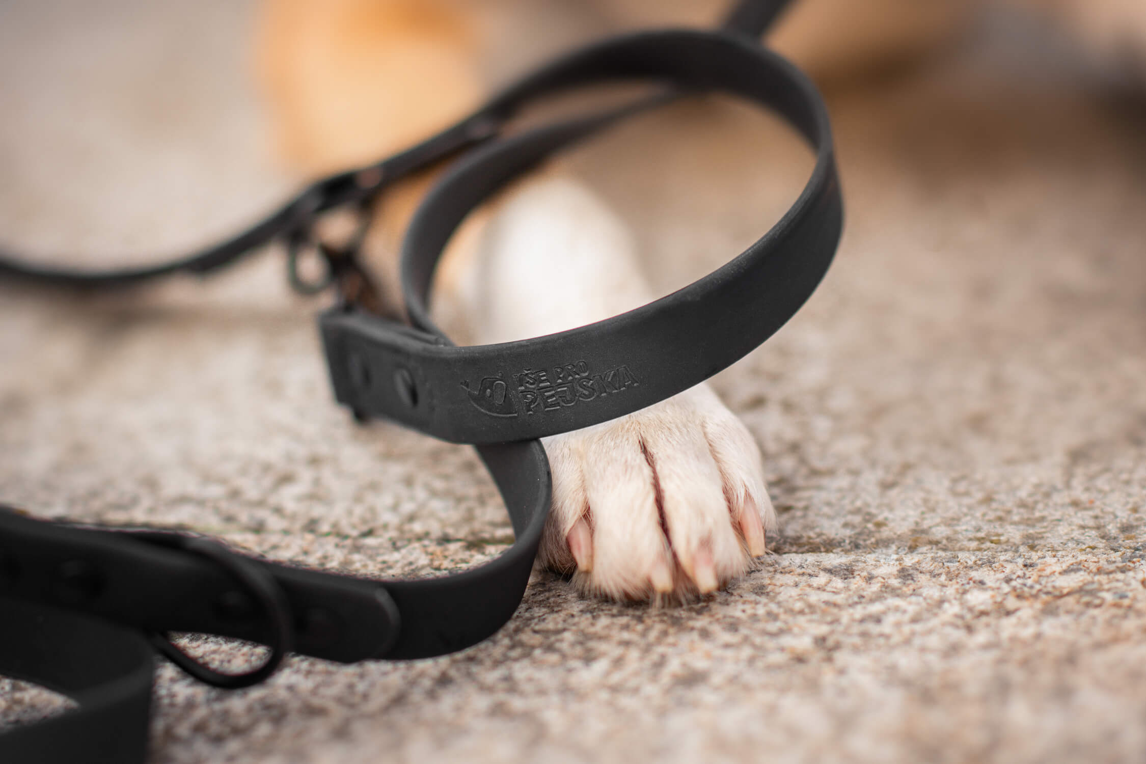 Vsepropejska Flip silikonové přepínací vodítko pro psa | 260 cm Barva: Černá, Šířka vodítka: 1,5 cm Vsepropejska Flip silikonové přepínací vodítko pro psa | 260 cm Barva: Černá, Šířka vodítka: 1,5 cm