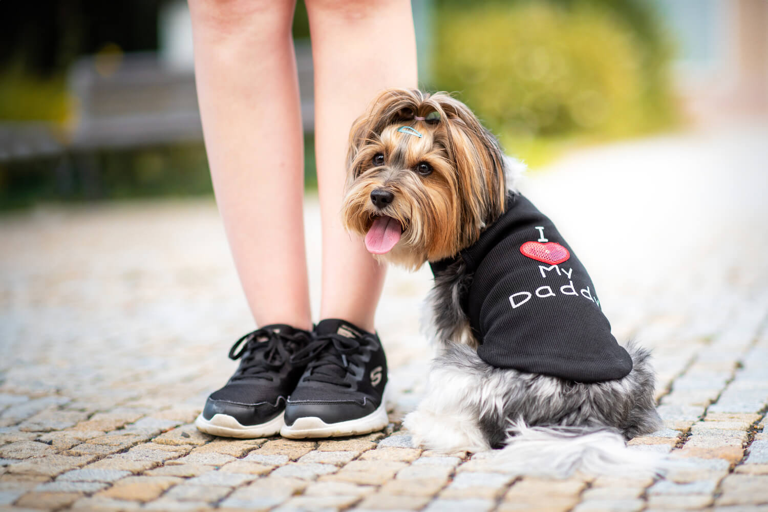 Vsepropejska Daddy letní tričko pro psa Barva: Černá, Délka zad (cm): 20, Obvod hrudníku: 25 - 31 cm Vsepropejska Daddy letní tričko pro psa Barva: Černá, Délka zad (cm): 20, Obvod hrudníku: 25 - 31 cm