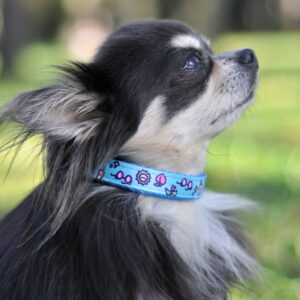 Vsepropejska Blue modrý obojek pro psa Barva: Modrá, Obvod krku: 33 – 55 cm