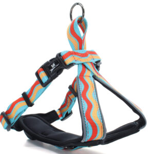 Vsepropejska Pino 2 barevný postroj pro psa Barva: Modrá, Obvod hrudníku: 46 – 56 cm