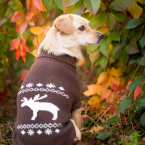 Vsepropejska Samuel svetr pro psa Barva: Hnědá, Délka zad (cm): 17-18, Obvod hrudníku: 23 – 30 cm