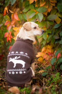 Vsepropejska Samuel svetr pro psa Barva: Hnědá, Délka zad (cm): 23-24, Obvod hrudníku: 26 - 33 cm