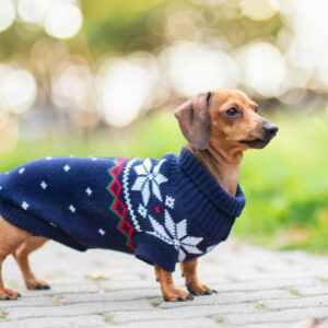 Vsepropejska Damián svetr pro psa Barva: Modrá, Délka zad (cm): 41-44, Obvod hrudníku: 40 – 50 cm