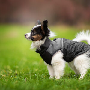 Vsepropejska Terenc obleček pro psa na zip Barva: Černá, Délka zad (cm): 35, Obvod hrudníku: 42 – 48 cm