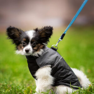 Vsepropejska Terenc obleček pro psa na zip Barva: Černá, Délka zad (cm): 26, Obvod hrudníku: 30 – 35 cm