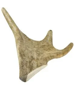 Pochoutka Dančí paroží 170-230g