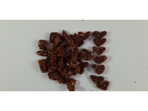 Salač Srdíčka hovězí s treskou 100G