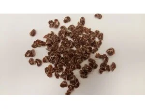 SALAČ SUŠENÉ MASO MLSKY - kachní s treskou 100g