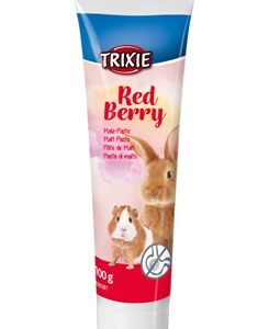 Sladová pasta Red Berry pro hlodavce 100g TR