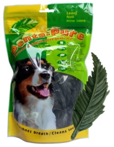 Denta Pure Leavy Bone 3" 7,5cm MINT green 50ks