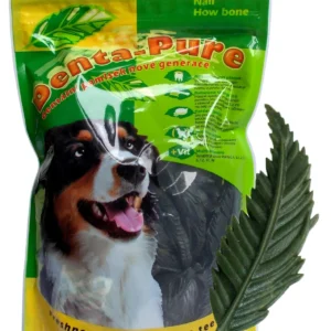 Denta Pure Leavy Bone 3″ 7,5cm MINT green 50ks