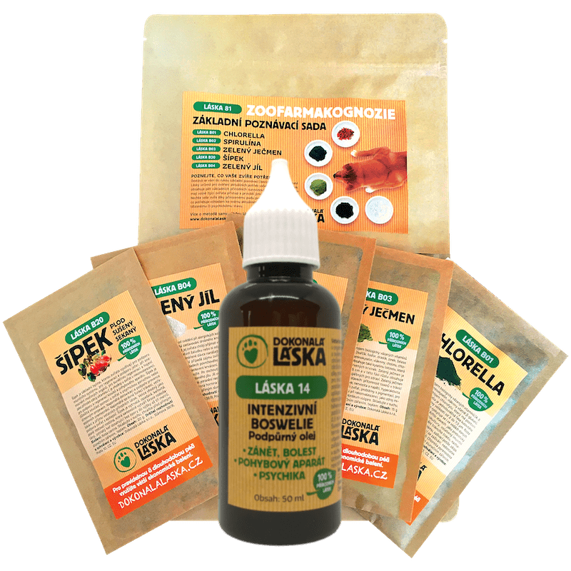 Dokonalá Láska Rekonvalescence - regenerace - stárnutí - anální žlázy M Dokonalá Láska Rekonvalescence - regenerace - stárnutí - anální žlázy M