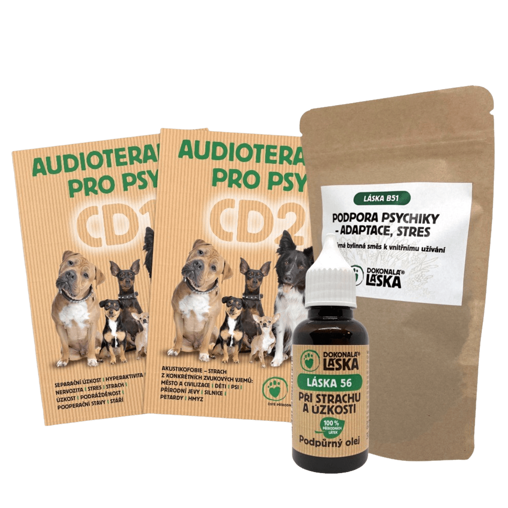 Dokonalá Láska LÉČBA AKUSTIKOFOBIE A STRACHU ZE ZVUKŮ L Dokonalá Láska LÉČBA AKUSTIKOFOBIE A STRACHU ZE ZVUKŮ L