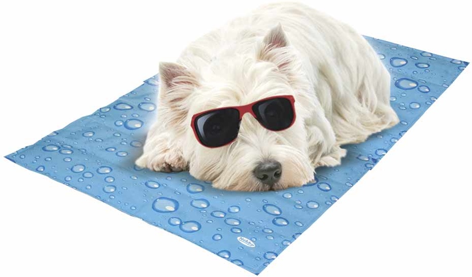 Nobby chladící podložka kapky XS pro zvířata 40x30cm Nobby chladící podložka kapky XS pro zvířata 40x30cm