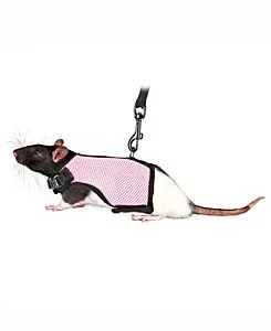 Postroj Krysa VESTA s vodítkem 12-18cm/1,2m TR