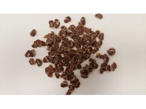 SALAČ SUŠENÉ MASO MLSKY - jehněčí s treskou 100g