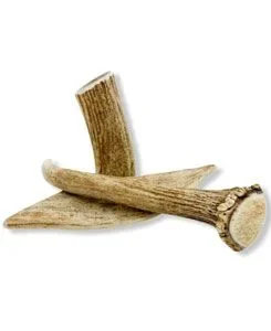 Pochoutka Dančí paroží 40-70g