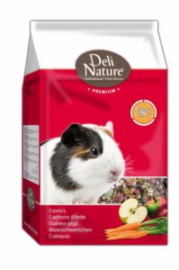 Deli Nature Premium morče 3kg